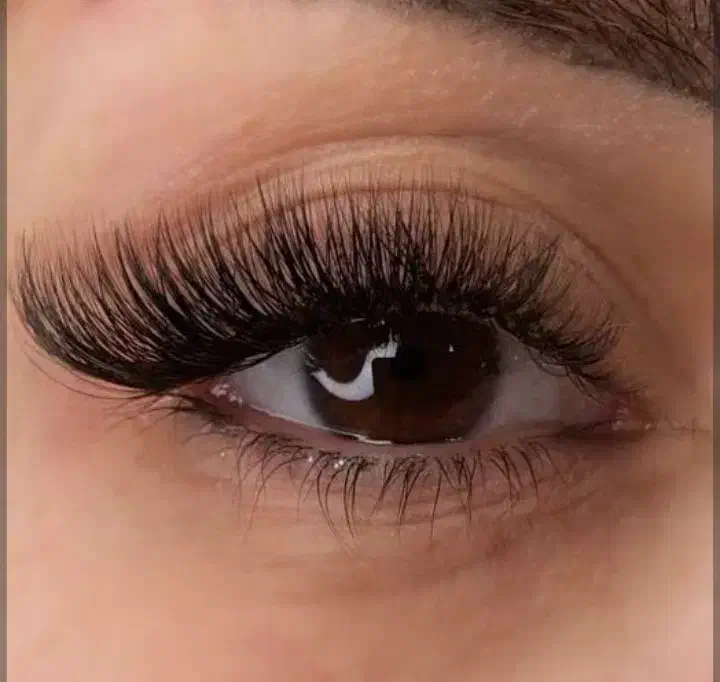 لیفت لمینت ابرو کاشت تمامی مدل هایه مژه|خدمات آرایشگری و زیبایی|تربتحیدریه, کاشانی|دیوار