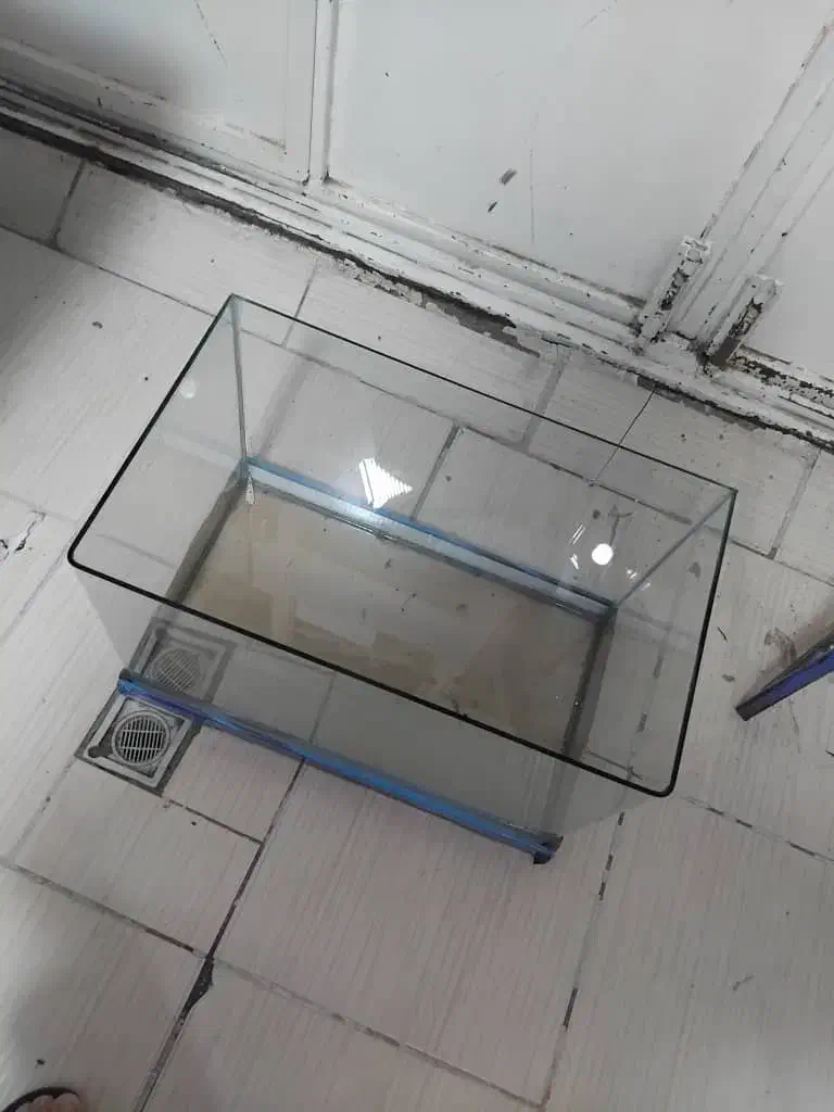 فروش شیشه اکواریوم|ماهی|سقز, |دیوار