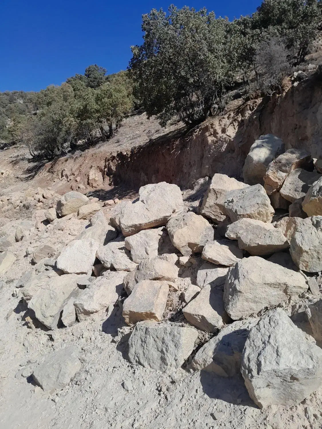 1000 متر زمین باغشهری|فروش خانه و ویلا|ارژن, |دیوار