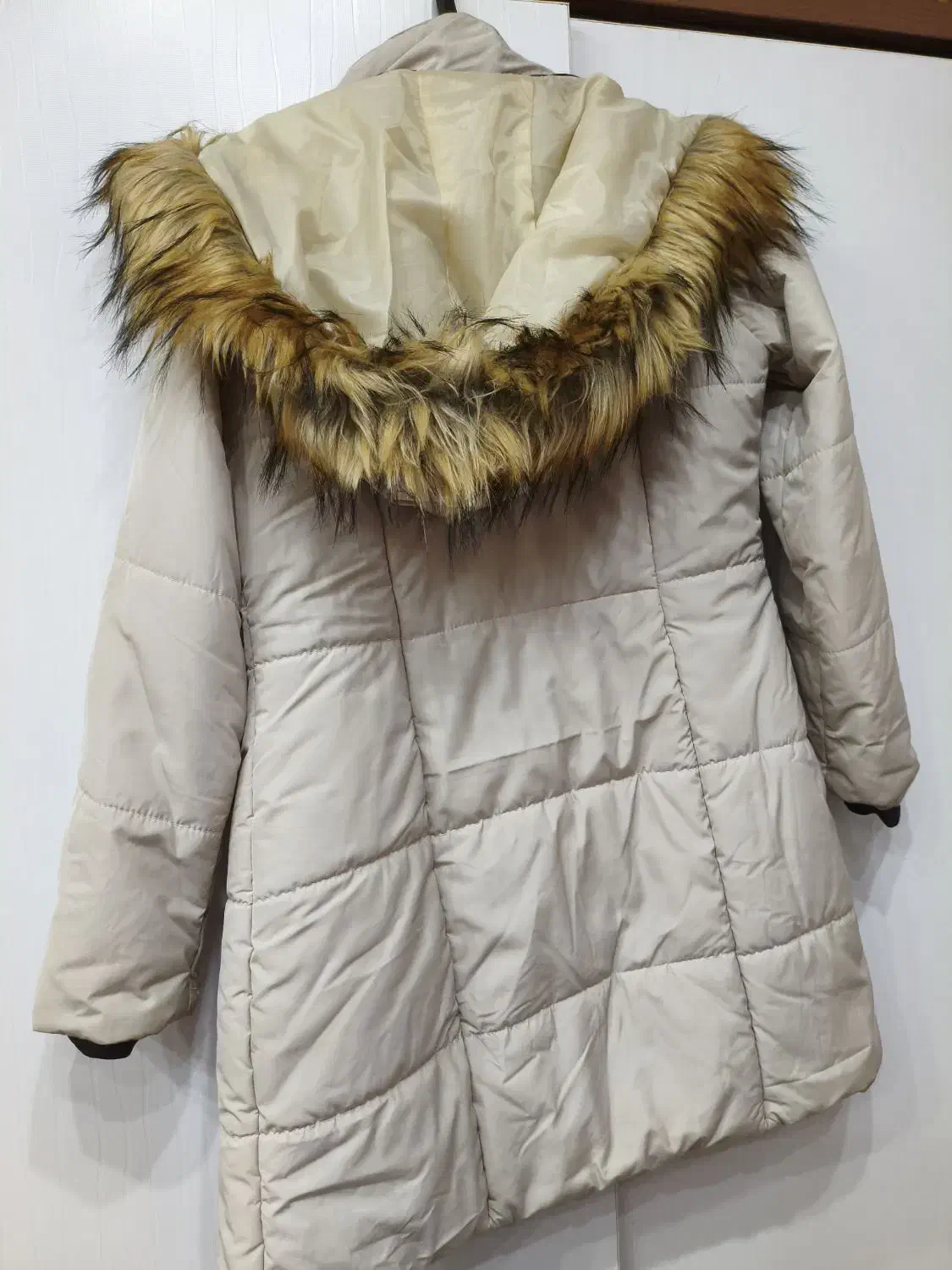 پالتو|لباس|دورود, |دیوار