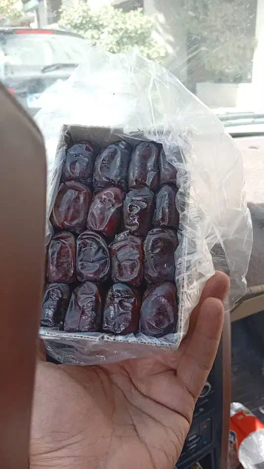 خرما مضافتی بم موجود هست دارم میام مشهم قیمت م|خوردنی و آشامیدنی|تربتحیدریه, طالقانی|دیوار