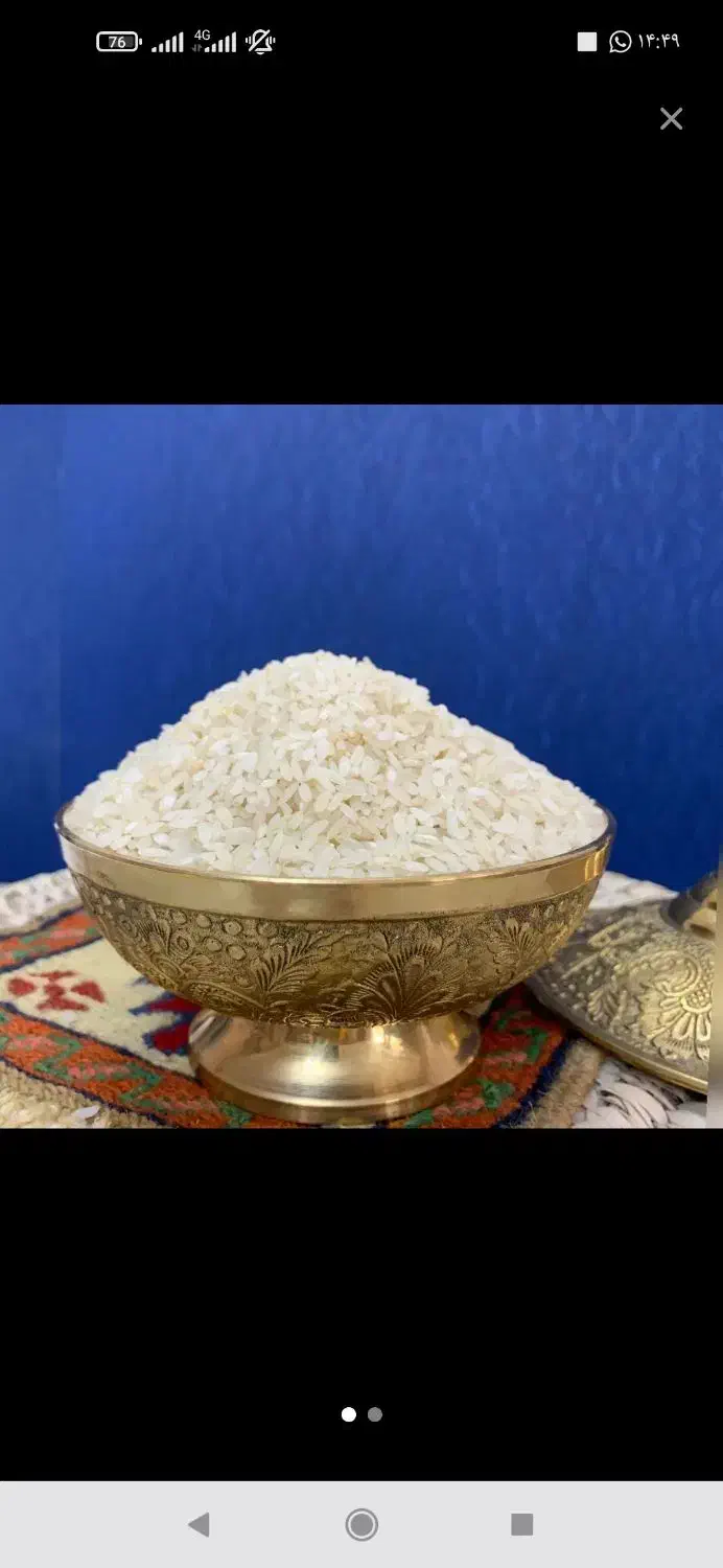برنج کامفیروزی لوکس|خوردنی و آشامیدنی|شیراز, فرگاز|دیوار