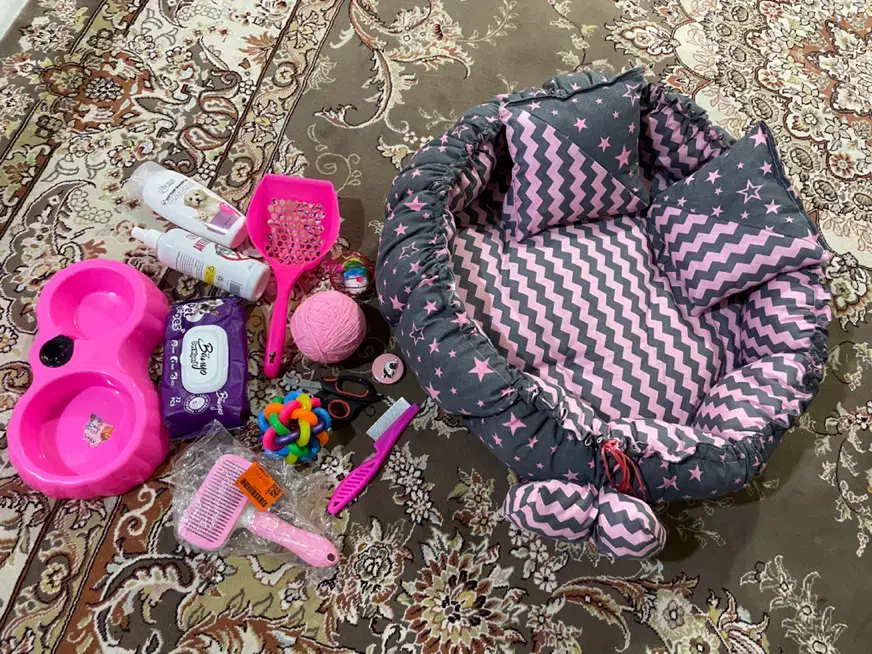 جای خواب سگ|لوازم جانبی حیوانات|کرج, محمد آباد|دیوار