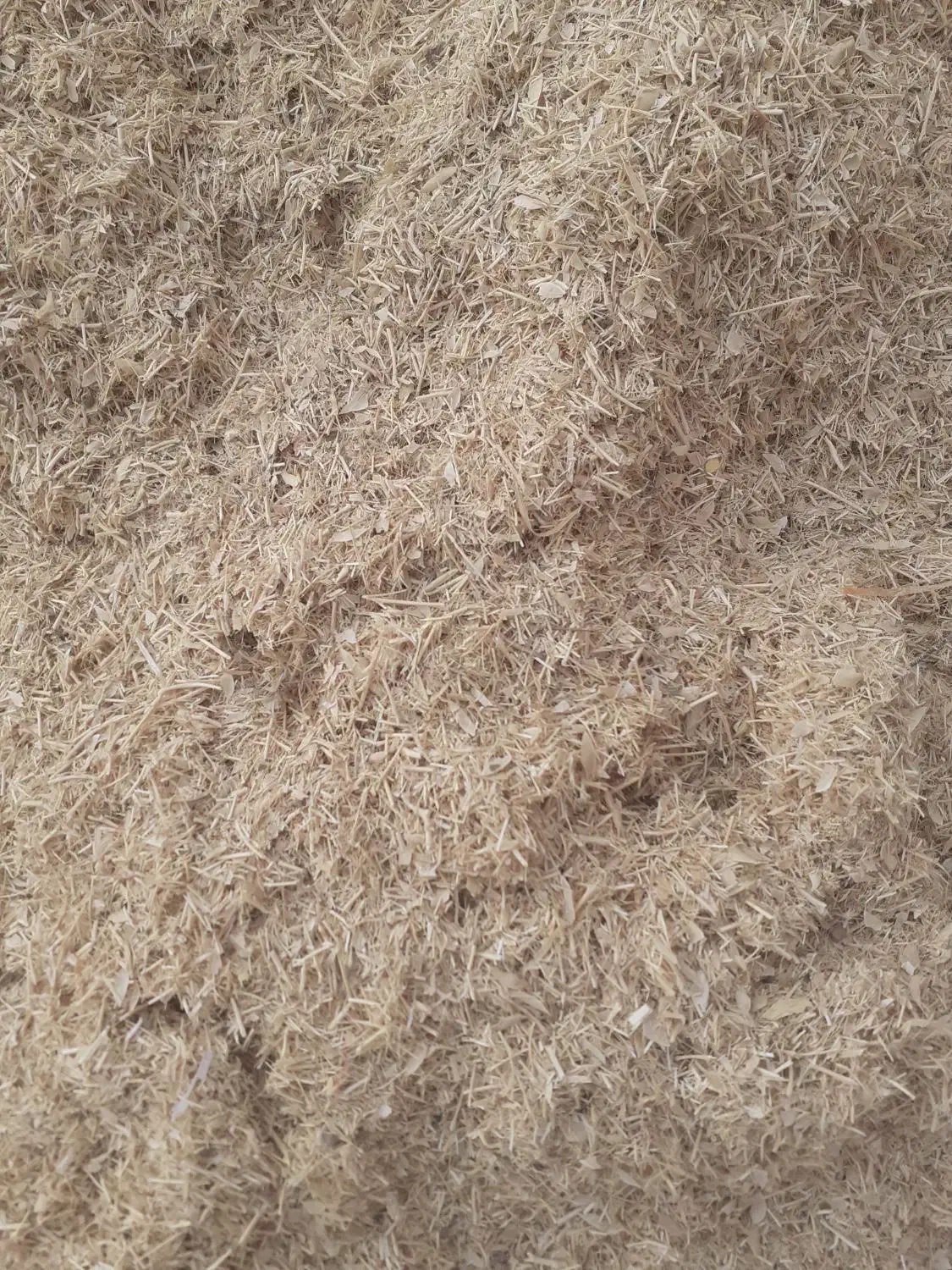 کاه گرگرو|لوازم جانبی حیوانات|کوهدشت, |دیوار