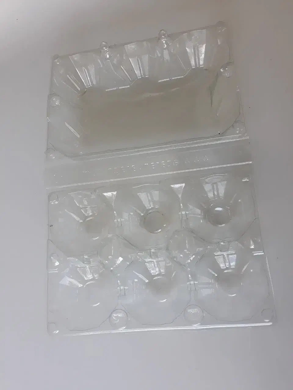 ظرف بسته بندی تخم مرغ|ظروف نگهدارنده، پلاستیکی، یکبارمصرف|کوهیخیل, |دیوار