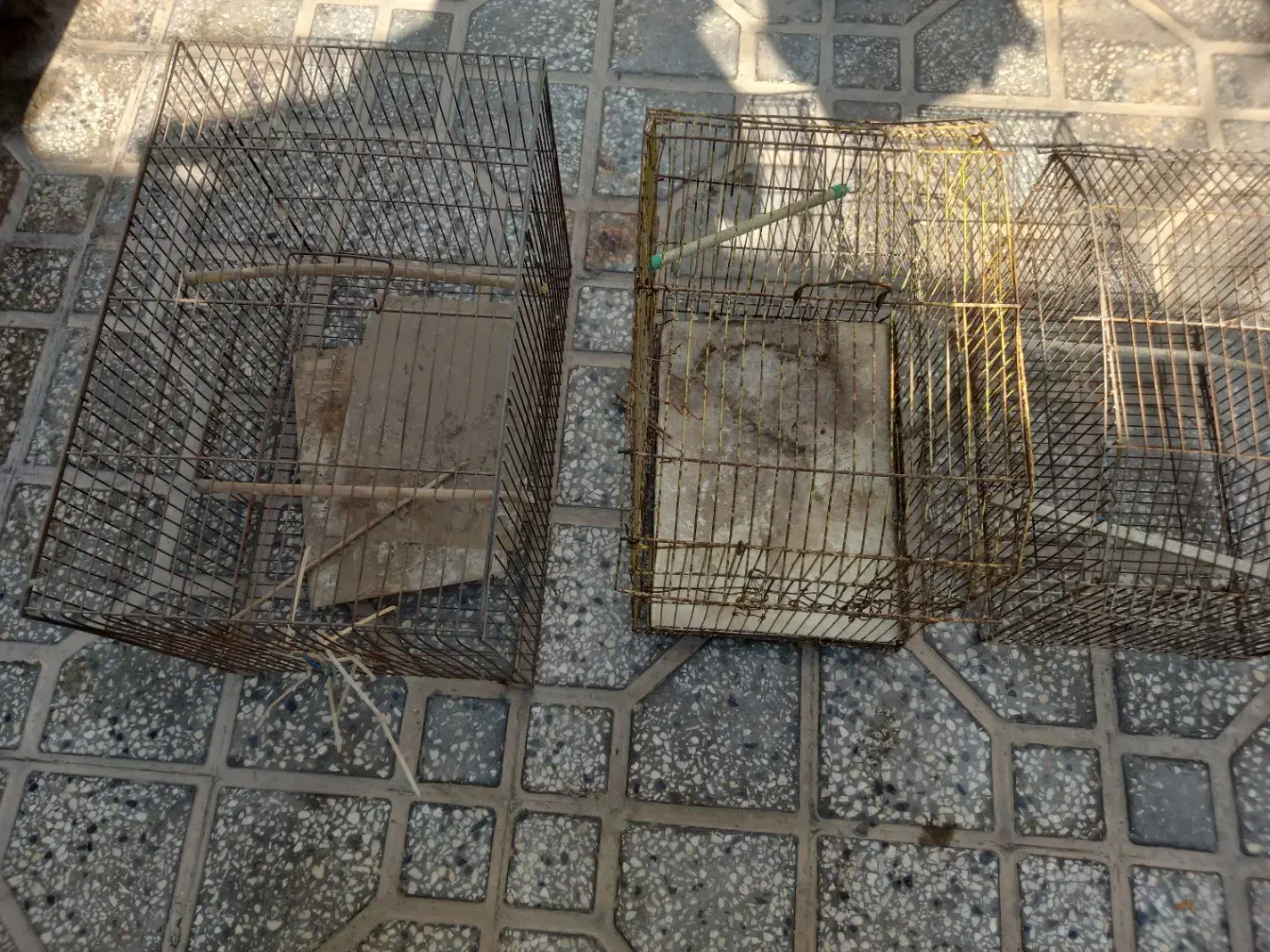 قفس|لوازم جانبی حیوانات|بوشهر, |دیوار