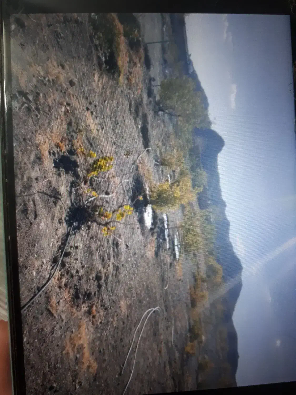 فروش زمین|فروش دفتر صنعتی، کشاورزی، تجاری|سبزوار, قصبه شرقی|دیوار