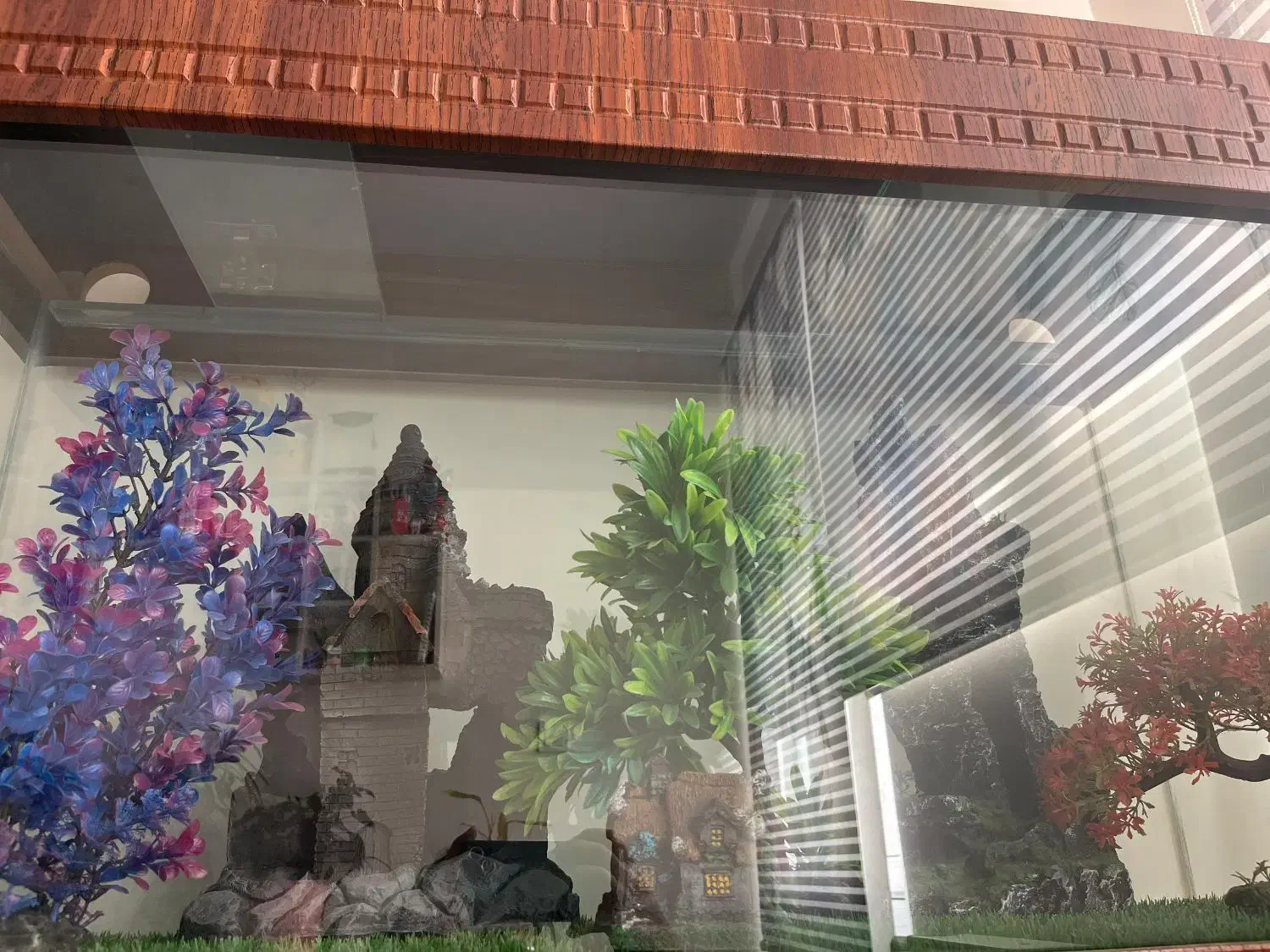 آکواریوم|ماهی|تهران, شهرک امیرالمومنین|دیوار