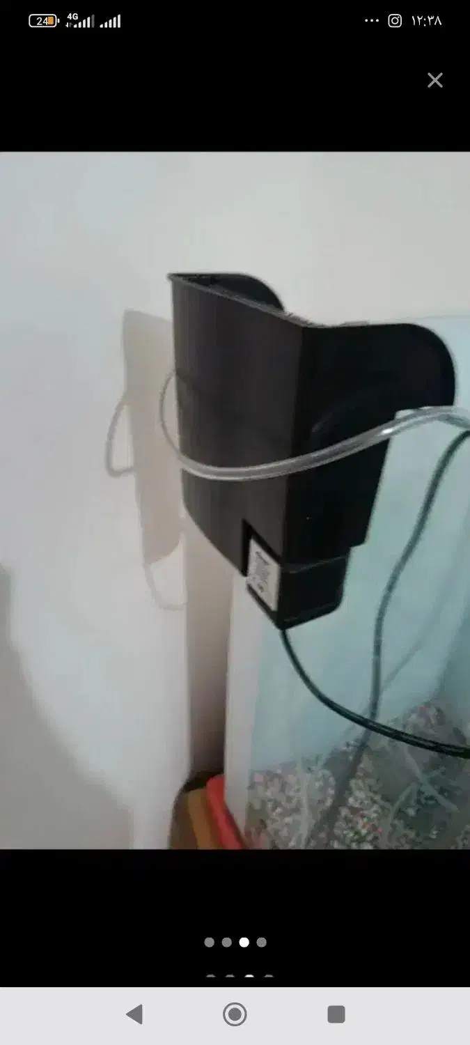 آکواریوم منحنی بزرگ|ماهی|پرند, فاز ۶|دیوار