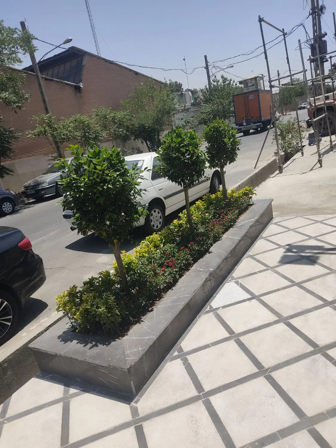 امور باغبانی کودهی هرسکاری بیل زدن تعویض خاک گلدان|خدمات باغبانی و درختکاری|تهران, تجریش|دیوار