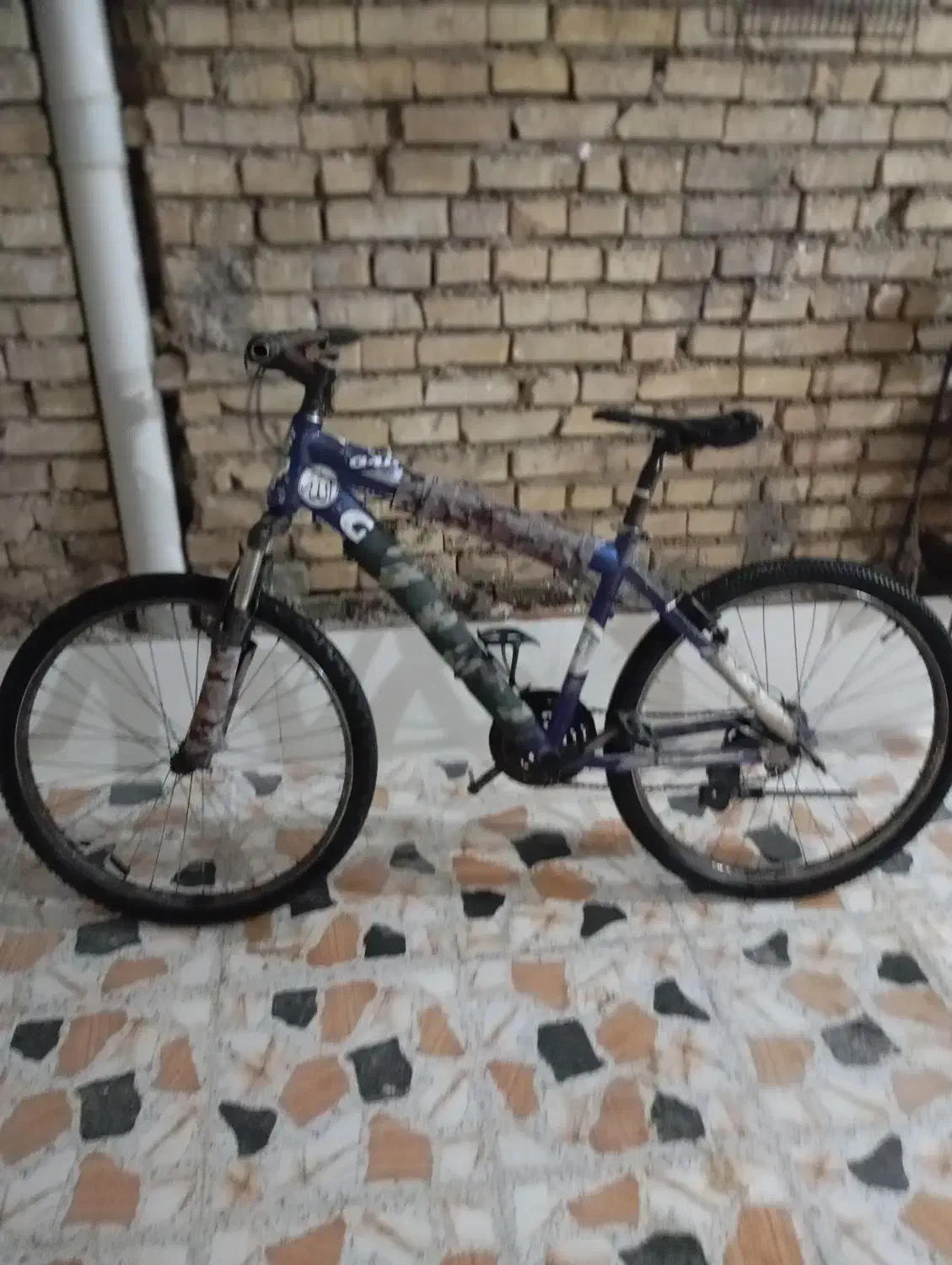 حسن احمدی|دوچرخه، اسکیت، اسکوتر|کارون, |دیوار