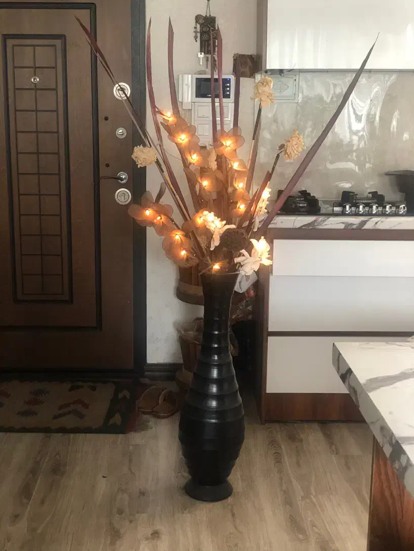 آباژور|چراغ خواب و آباژور|کرج, دانشکده علوم پزشکی البرز|دیوار