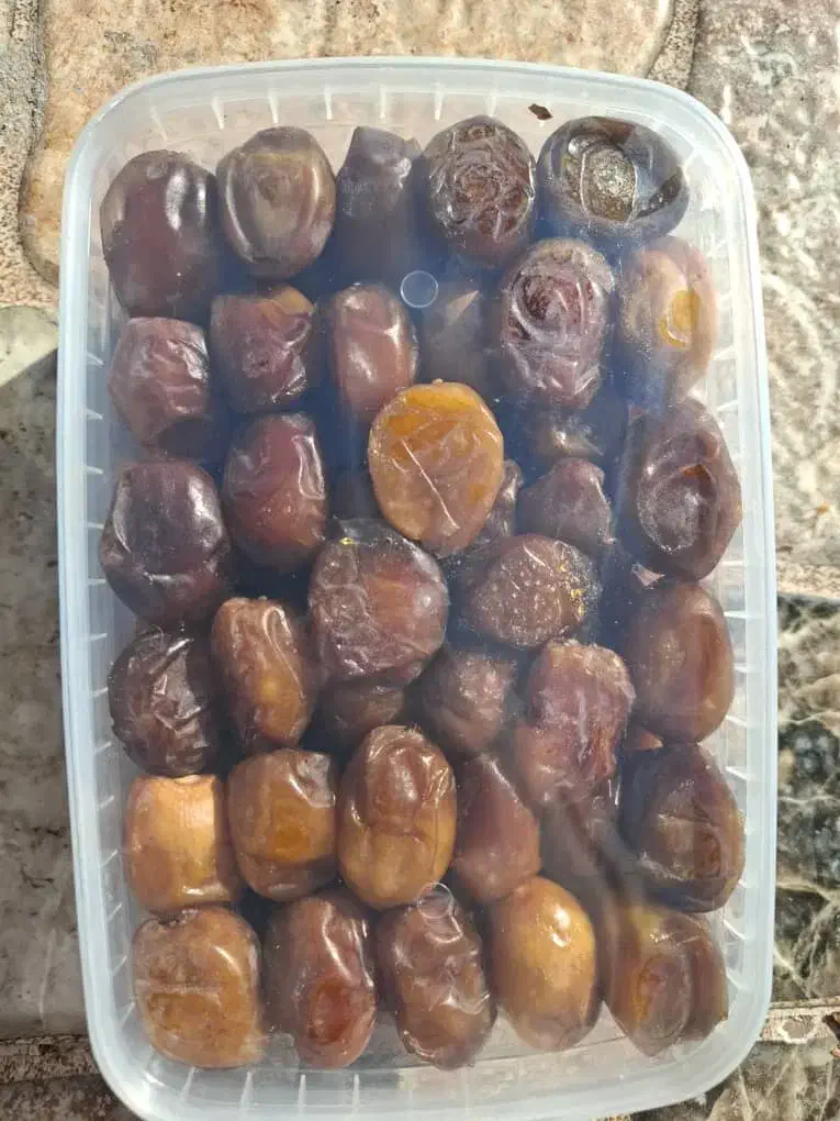 فروش رطب تازه خاصویی|خوردنی و آشامیدنی|شیراز, ابیوردی|دیوار
