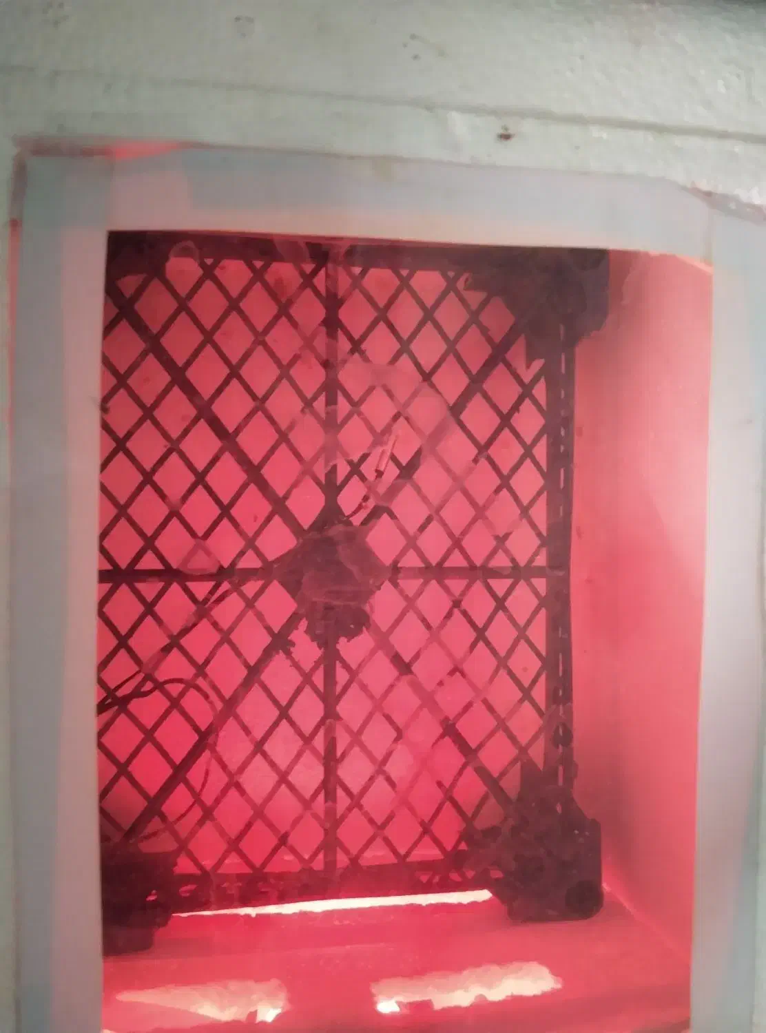 دستگاه جوجه کشی|لوازم جانبی حیوانات|مشهد, هنرور|دیوار