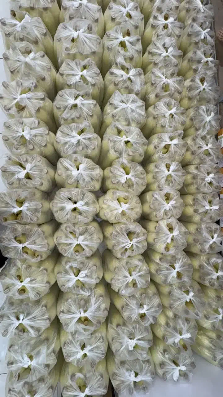 ابلیمو طبیعی بسیار باکیفیت ۳۳تومن|خوردنی و آشامیدنی|اهواز, کوی ایثار|دیوار