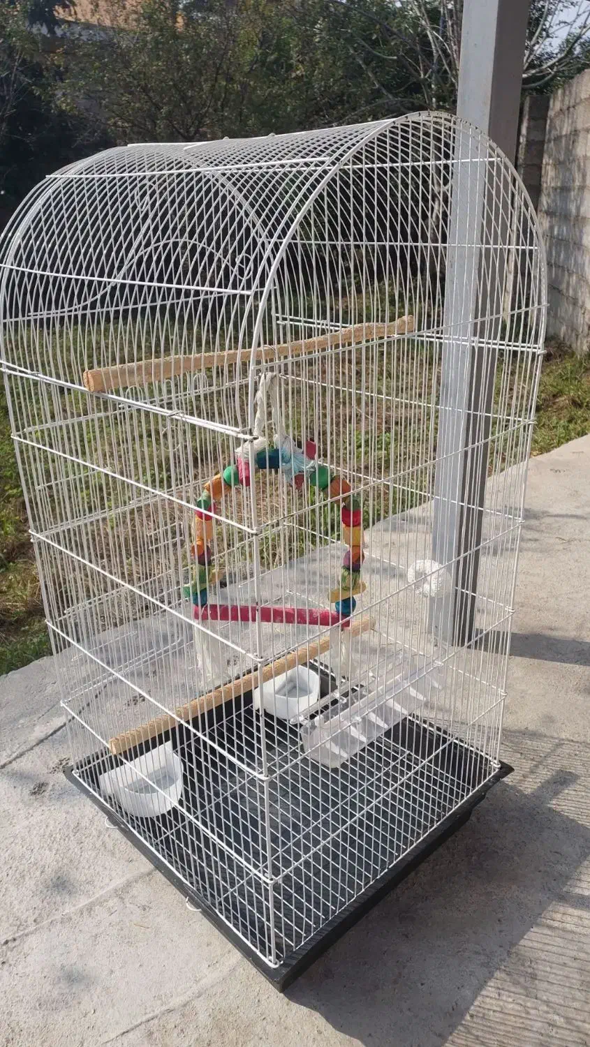 قفس پرنده|لوازم جانبی حیوانات|رشت, کوی فکوری|دیوار