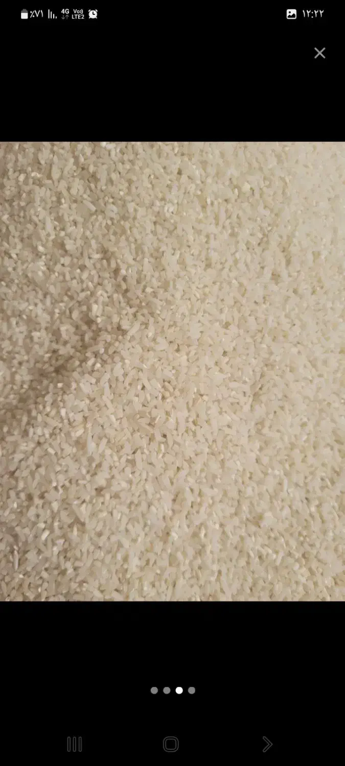 برنج نیم دانه هاشمی|خوردنی و آشامیدنی|رودبنه, |دیوار