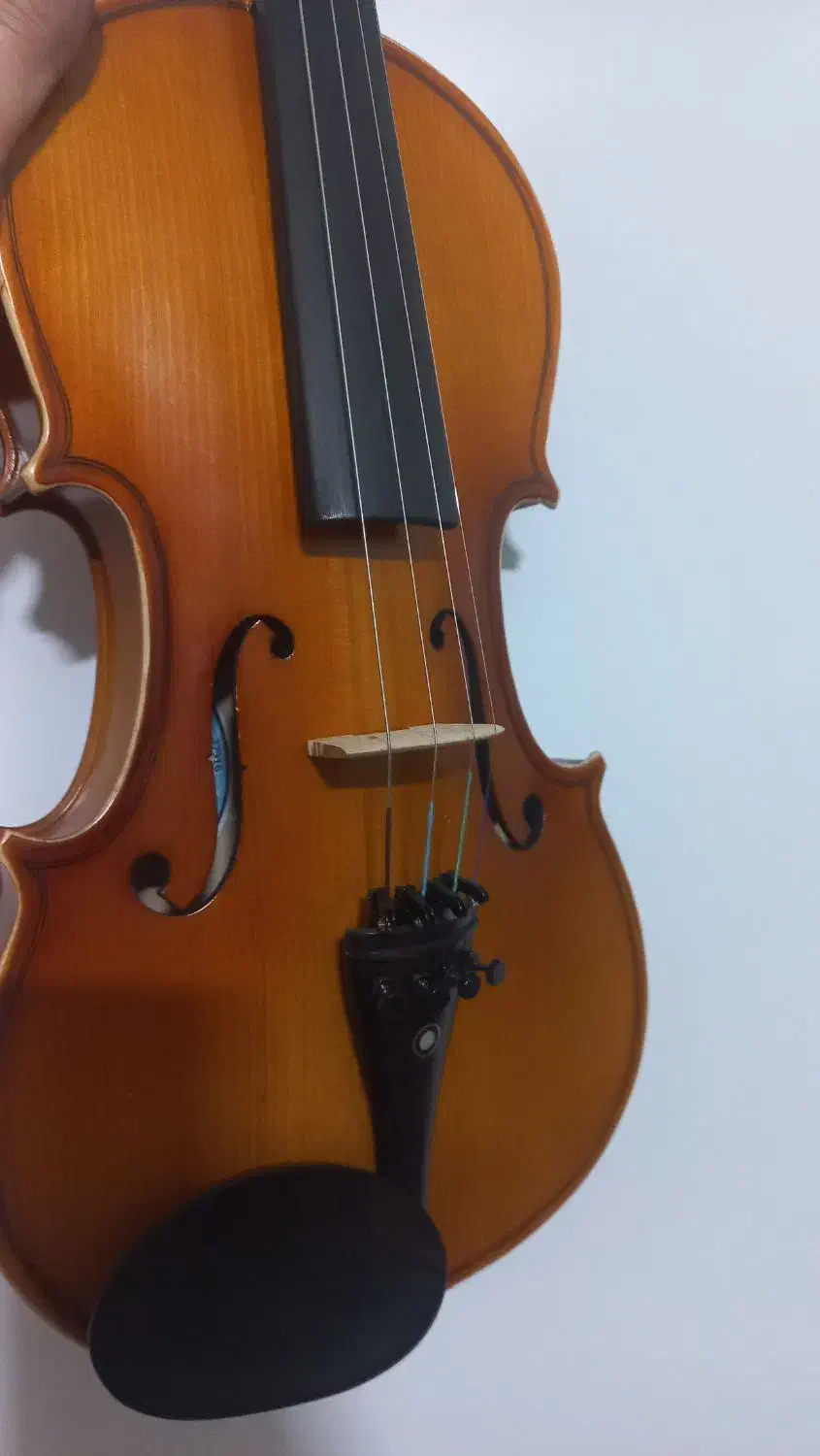 ویولن تی اف ۱۴۲ آکبند|ویولن|گنبد کاووس, |دیوار