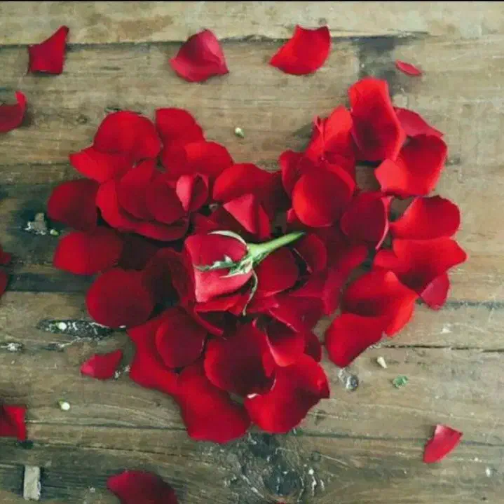 نظافت و شستشو در رستوران|استخدام سرایداری و نظافت|همدان, |دیوار