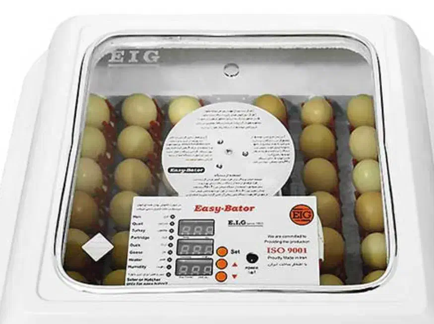 دستگاه جوجه کشی ایزی باتور 1|حیوانات مزرعه|ازنا, |دیوار