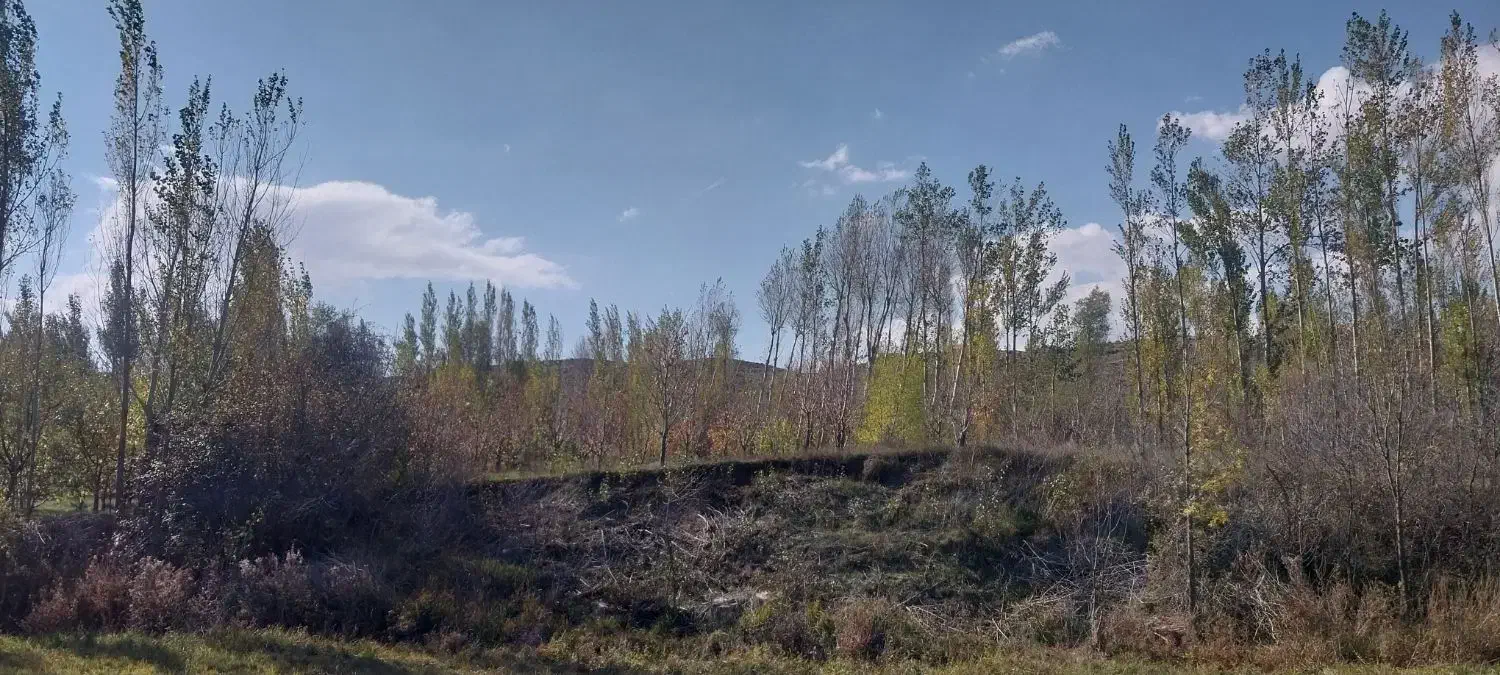 فروش باغ گیلاس در روستای حور|فروش زمین و ملک کلنگی|ویلکیج, |دیوار