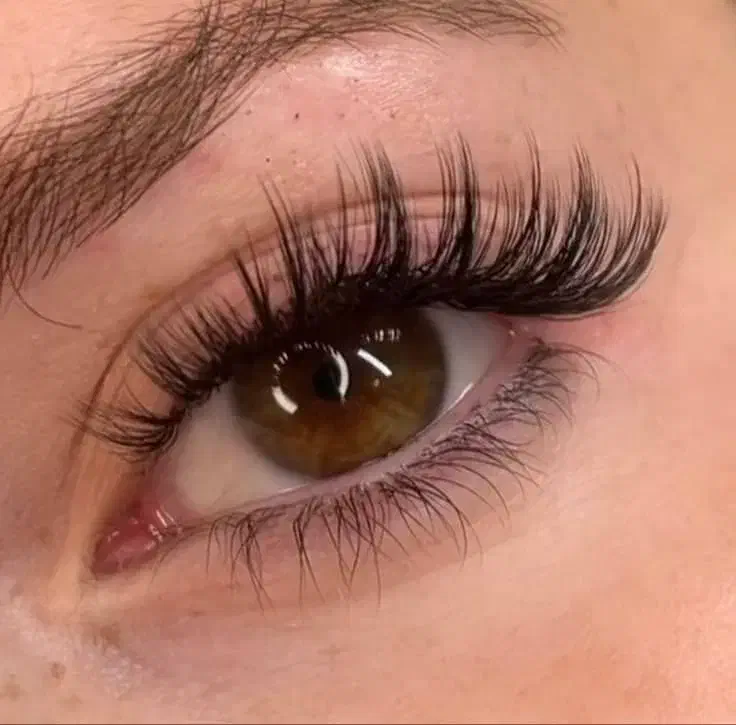 خدمات تخصصی اکستنشن مژه و لیفت مژه و ابرو|خدمات آرایشگری و زیبایی|شیراز, ارم|دیوار