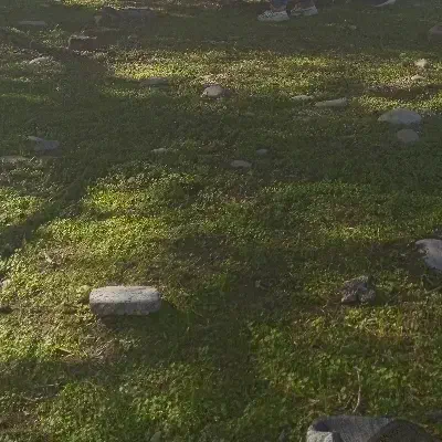 جویای نگهبانی|استخدام سرایداری و نظافت|دزفول, |دیوار