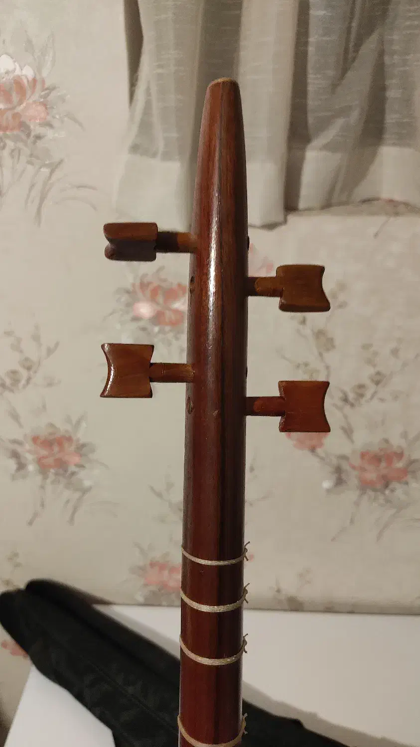 سه تار عظیمی پنجه قنبری|سازهای سنتی|تهران, فلسطین (میدان انقلاب)|دیوار