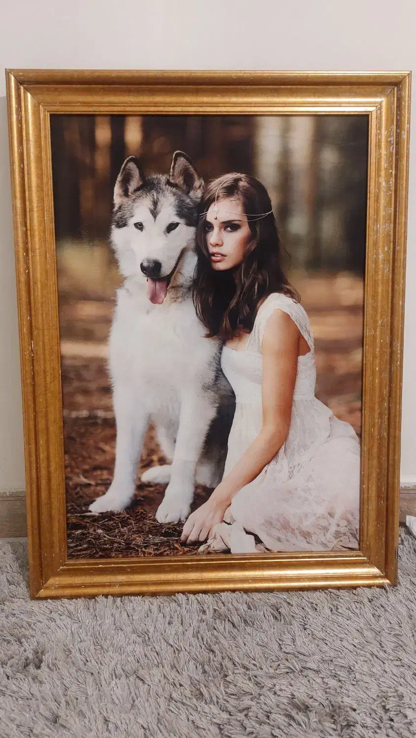 تابلو عکس|تابلو، نقاشی، عکس|رودهن, |دیوار