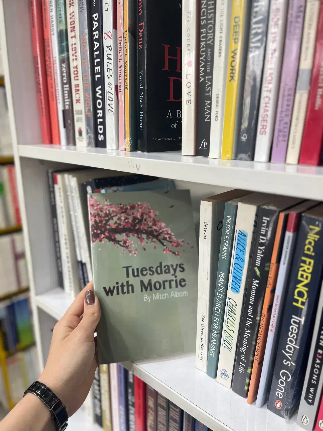 انوزش زبان انگلیسی|خدمات آموزشی|مینودشت, |دیوار