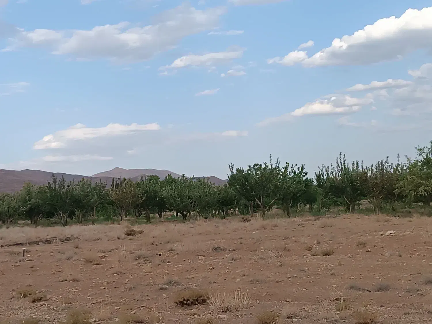 فروش چاه کشاورزی  با متعلقات کامل|فروش زمین و ملک کلنگی|بهمن صغاد, |دیوار