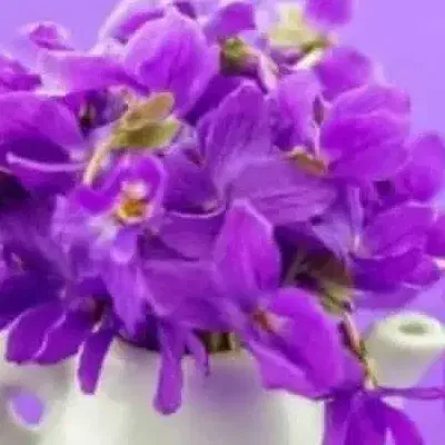 منشی مطب|استخدام درمانی، زیبایی، بهداشتی|بندر انزلی, شاکوچه|دیوار