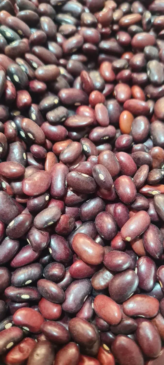 لوبیا قرمز|خوردنی و آشامیدنی|شیراز, میدان قائم|دیوار