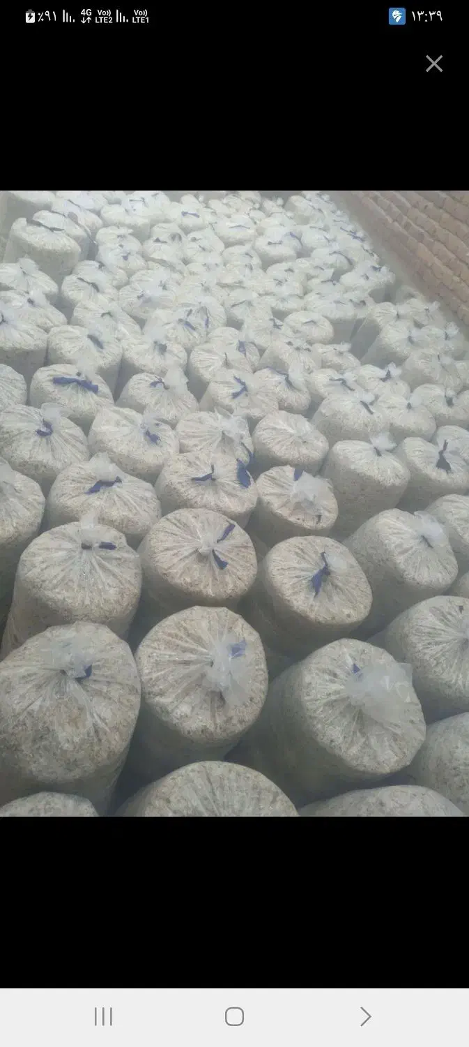 فروش چغندر قند برای لبو حیوانات تفاله وزارت علوفه|عمده‌فروشی|میانه, |دیوار