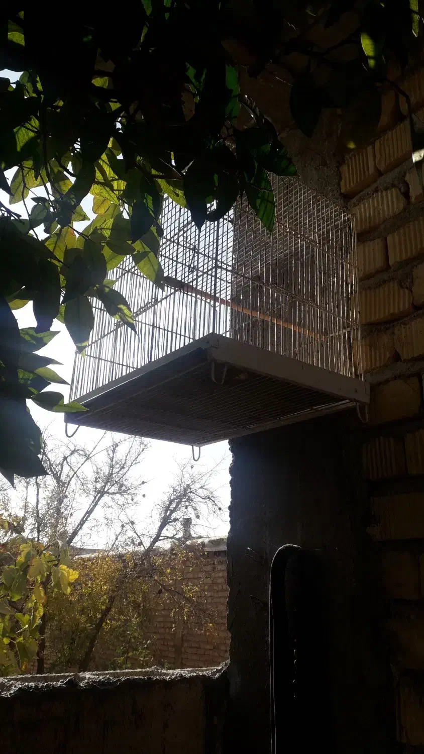 قفس بزرگ دست باف|لوازم جانبی حیوانات|مرودشت, شهرک مهدیه|دیوار