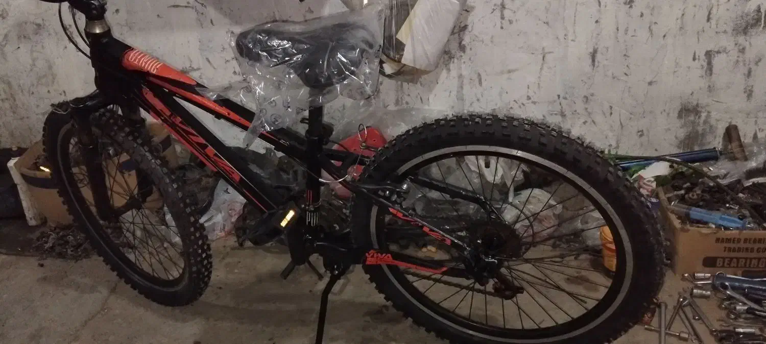 دوچرخه ویوا ۲۴ دو عدد|دوچرخه، اسکیت، اسکوتر|آبپخش, |دیوار