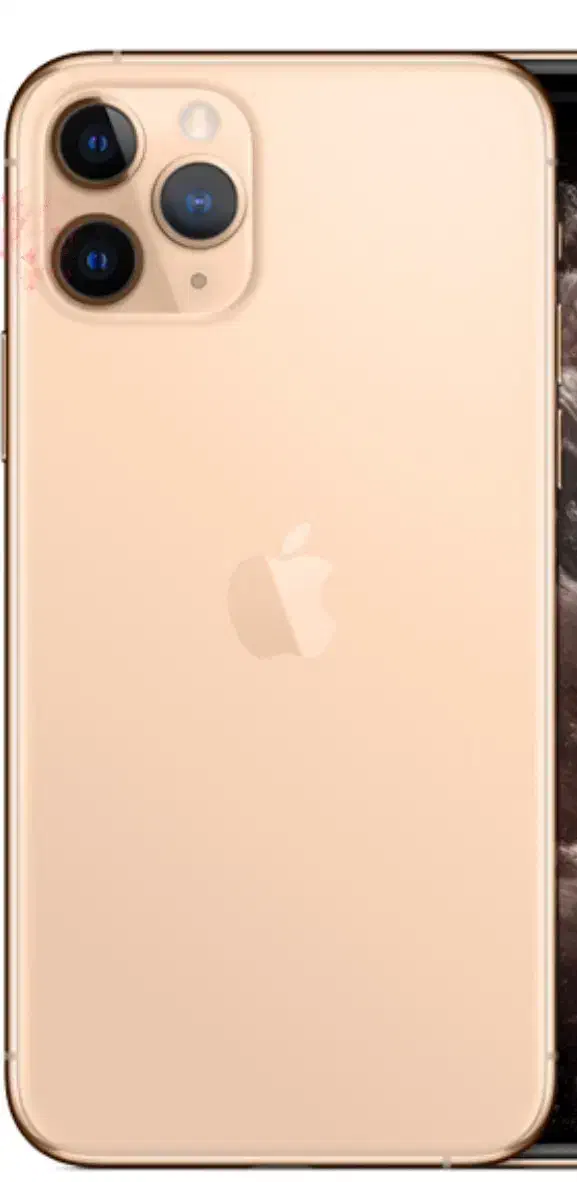 گوشی ۱۱ پرومکس ۲۵۶ گلد|موبایل|شیراز, غدیر جنوبی|دیوار