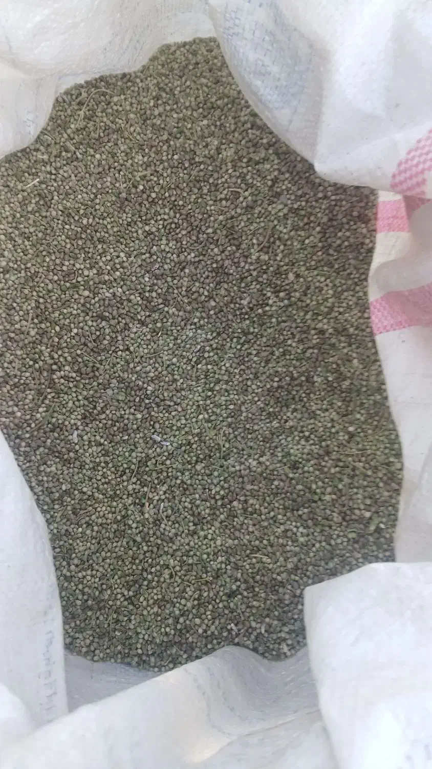 شاهدانه|خوردنی و آشامیدنی|نهاوند, |دیوار