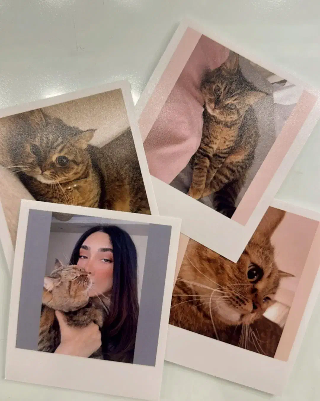 چاپ عکس|تابلو، نقاشی، عکس|شوشتر, |دیوار