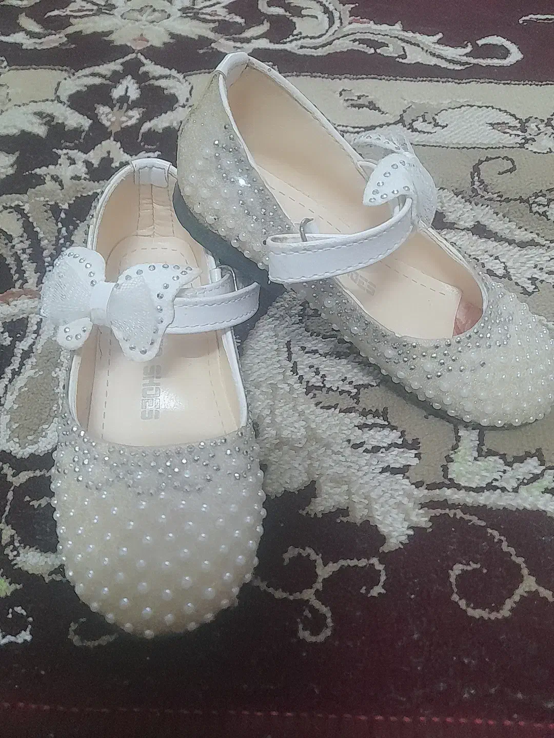 درحدنو|کیف، کفش، کمربند|مشهد, کریم آباد|دیوار