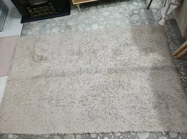 فرش فانتزی|فرش|مشهد, انقلاب|دیوار