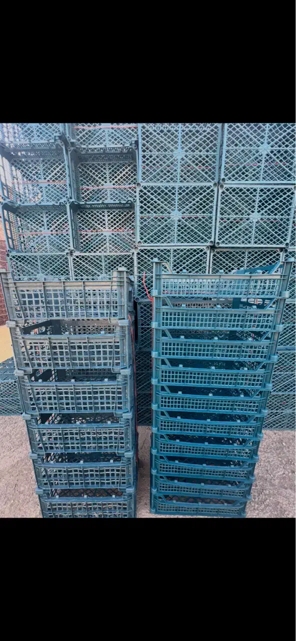 سبد ذغال|ظروف نگهدارنده، پلاستیکی، یک‌بارمصرف|محمدشهر, محمدشهر|دیوار