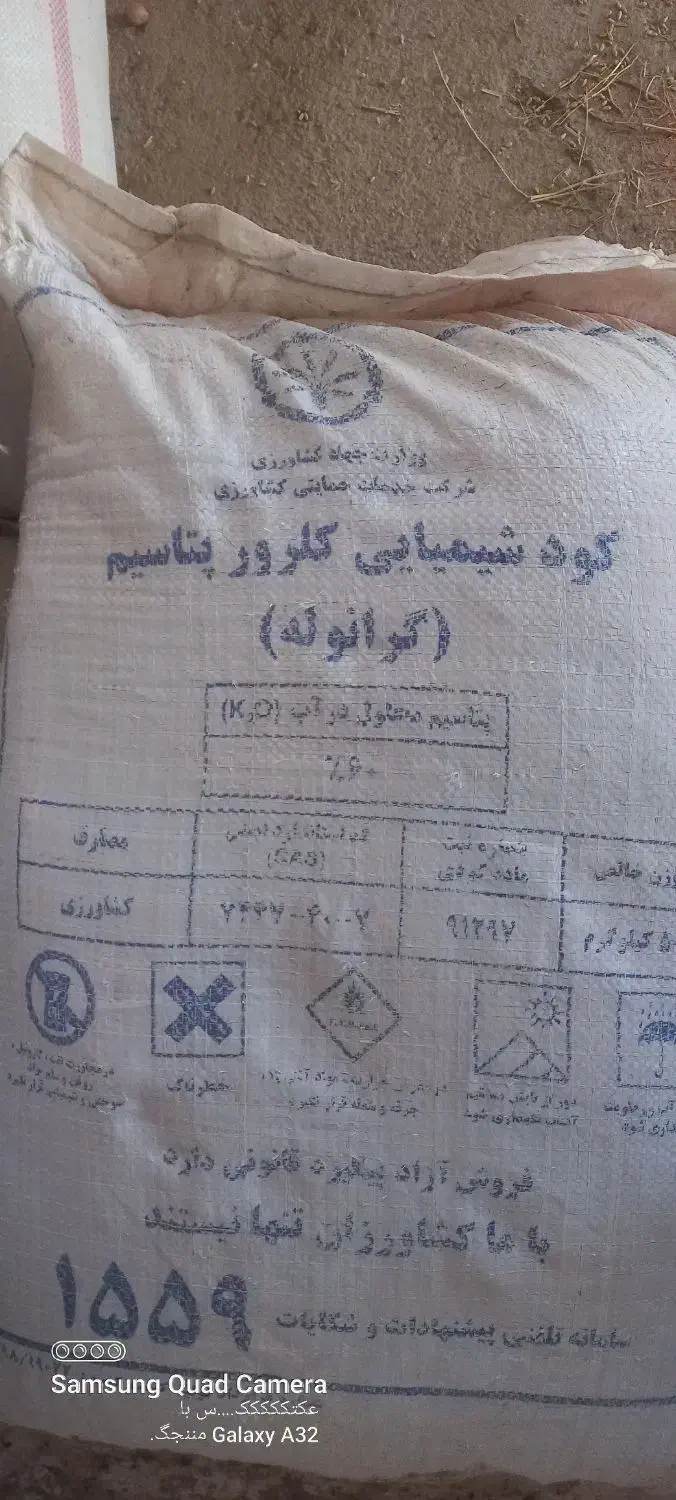 ۲عددکود ریشه ۱۷۵۰|حراج|اسفراین, |دیوار