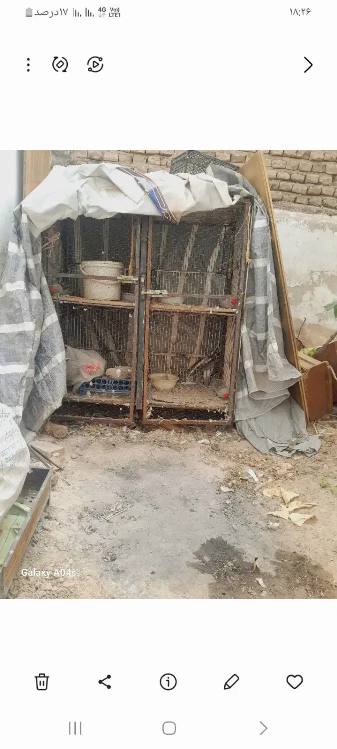 قفس جفتگاهی|لوازم جانبی حیوانات|نیشابور, امام خمینی|دیوار