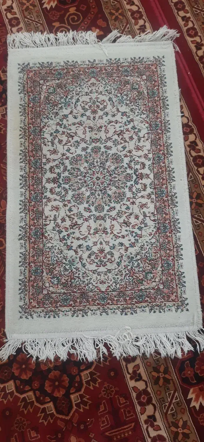 پادری|پادری|اسلام‌شهر, شهرک مفیدی|دیوار