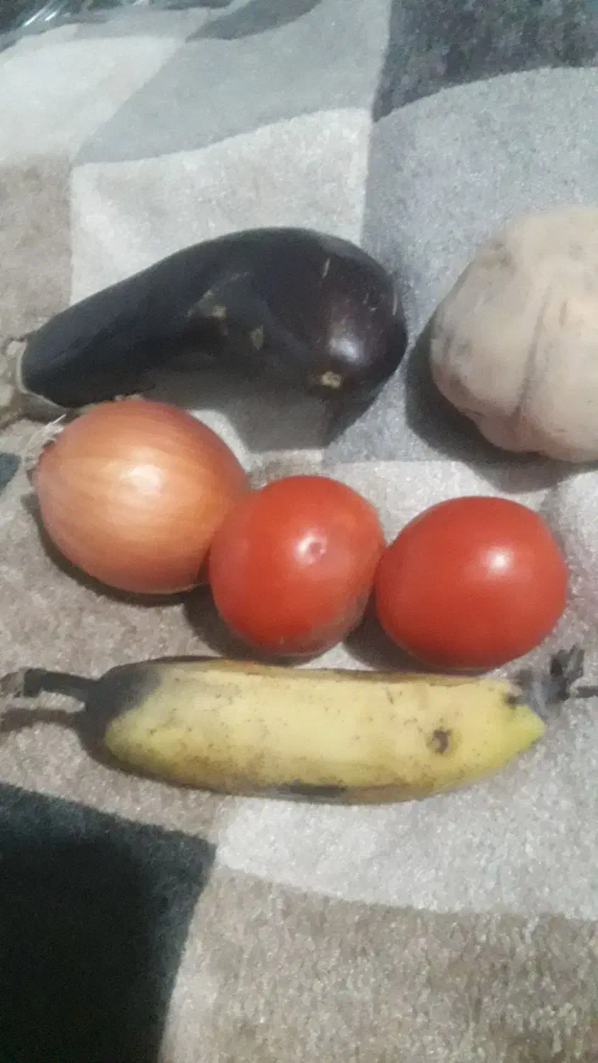 فروشنده جوان|استخدام خدمات فروشگاه و رستوران|قم, دروازه ری|دیوار