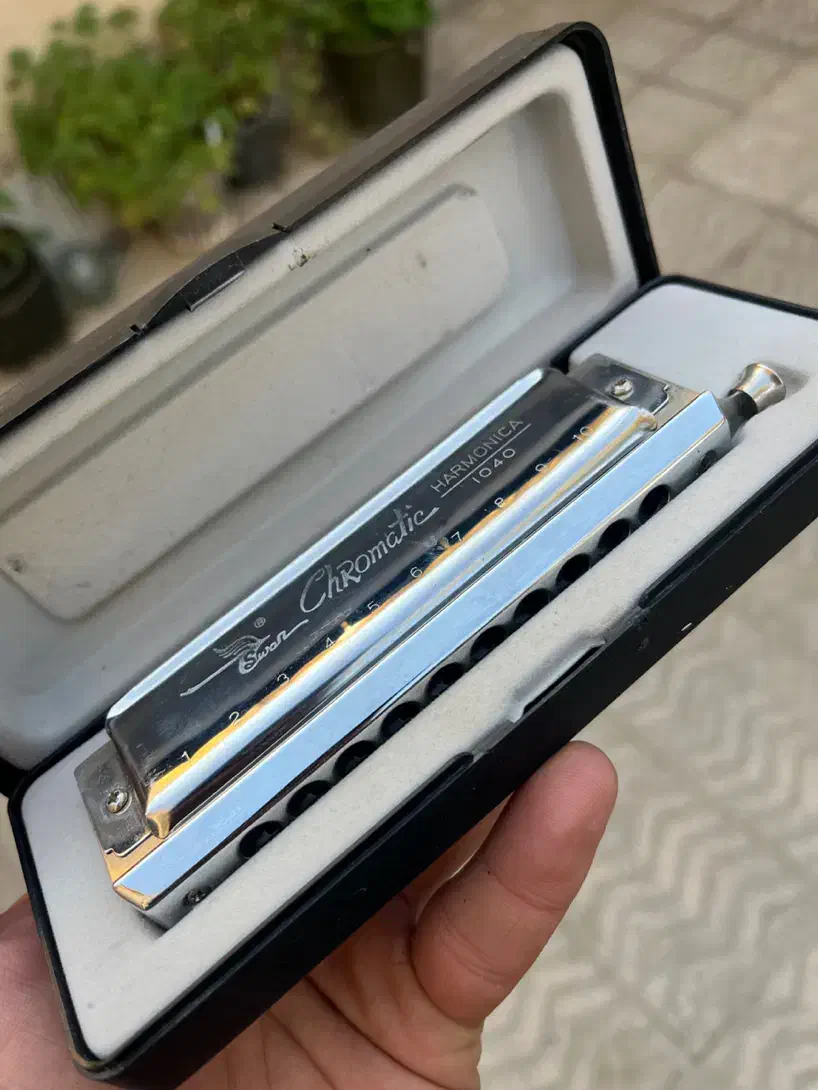 ساز دهنی هارمونیکا|سازهای بادی|کرج, جهان‌شهر|دیوار