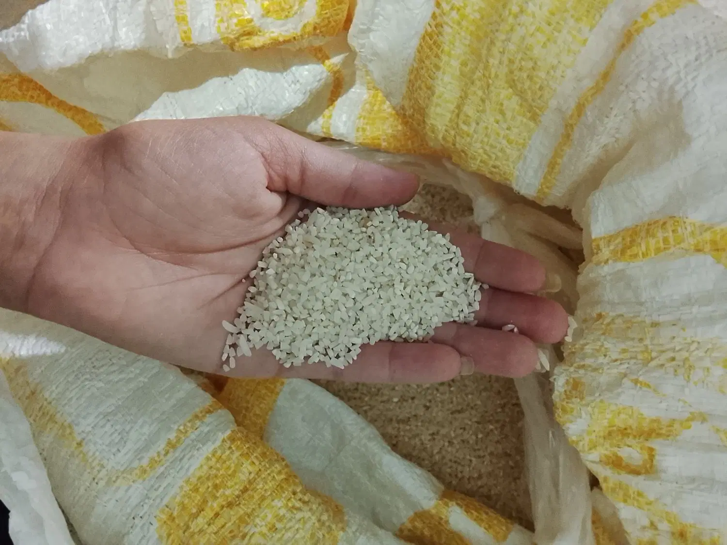 برنج|خوردنی و آشامیدنی|زابل, |دیوار