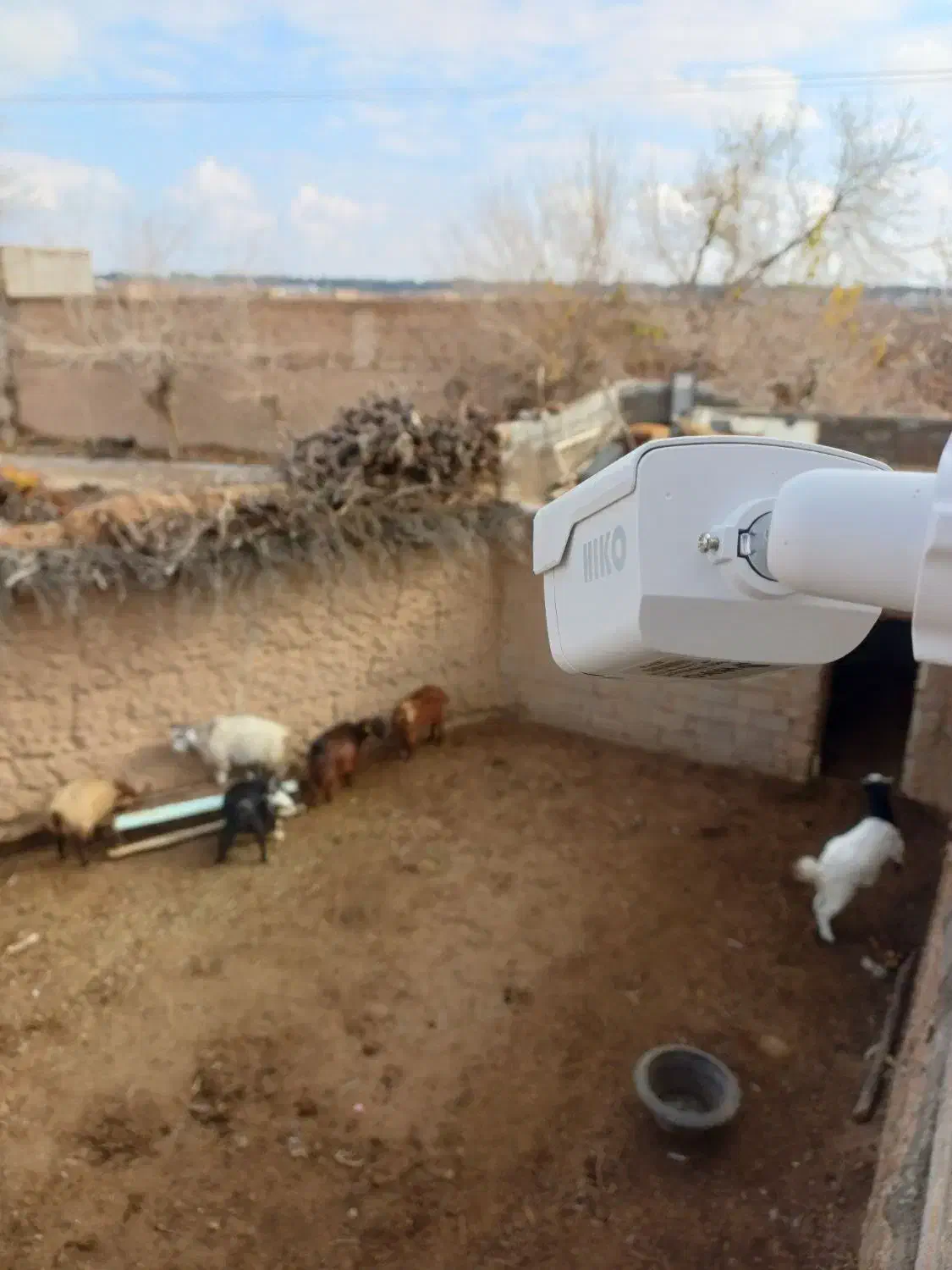 دوربین مداربسته|دوربین مداربسته|کاشمر, |دیوار