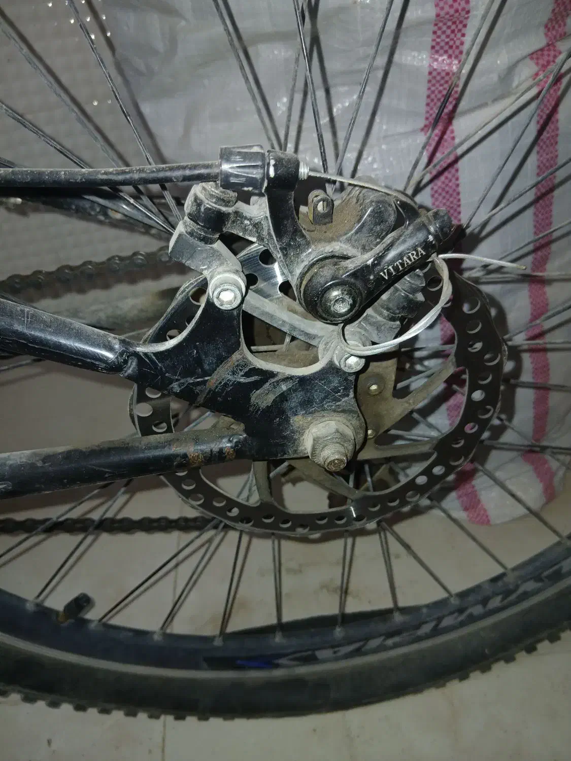 دوچرخه قصرشیرین|دوچرخه، اسکیت، اسکوتر|قصرشیرین, |دیوار